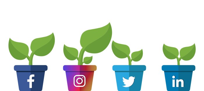 Social Media Growth Tips