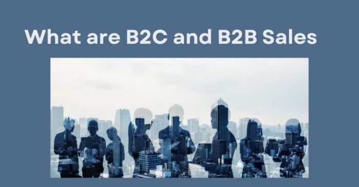 Understanding B2B and B2C Sales